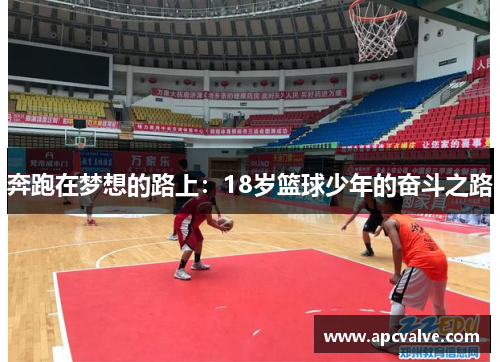 奔跑在梦想的路上：18岁篮球少年的奋斗之路
